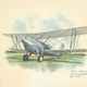 Illustration for article titled Plainlopnik Prints